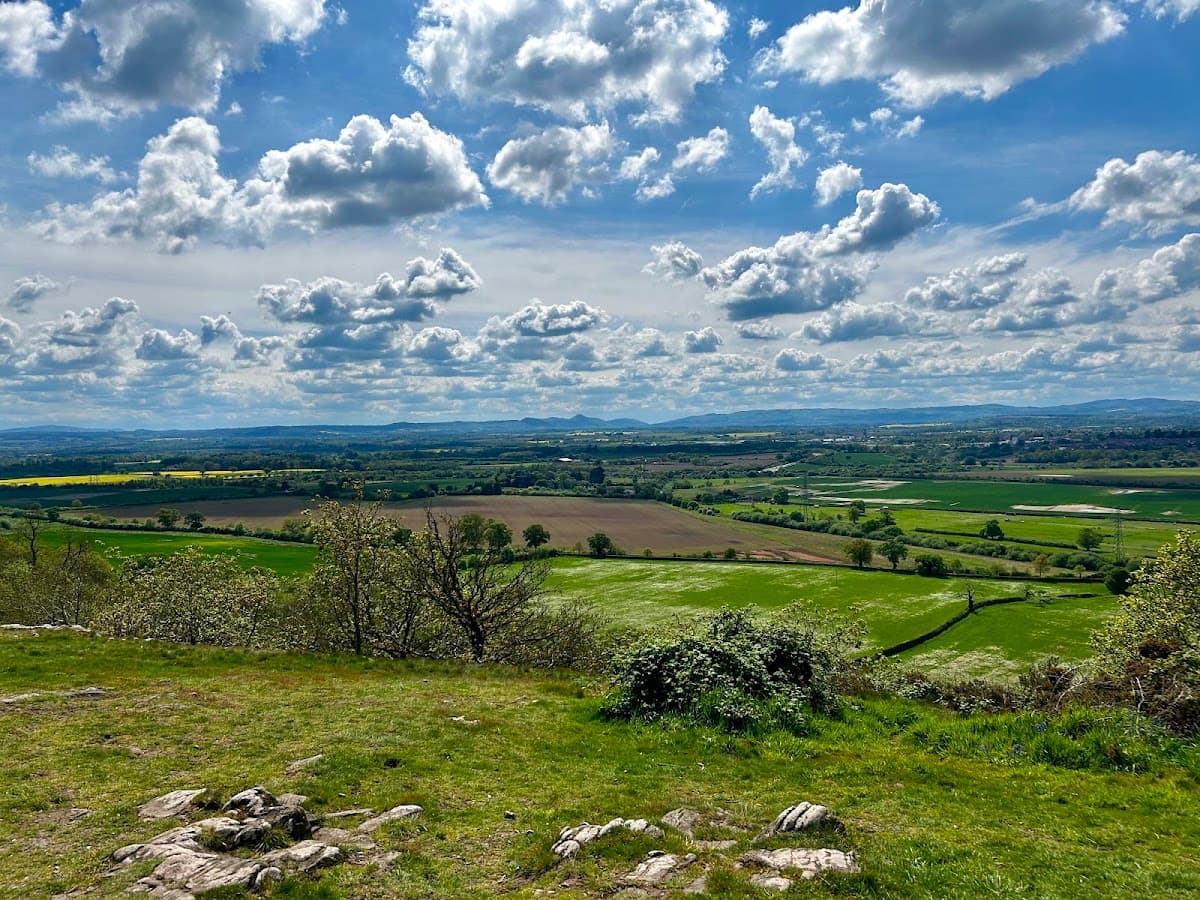 Haughmond Hill - Forestry England - Main view