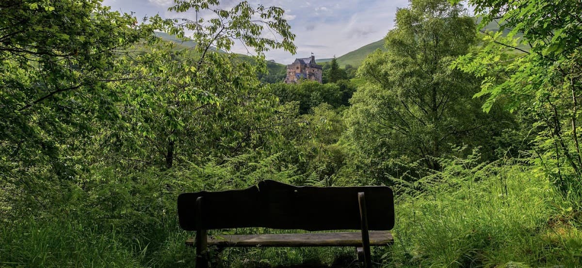 Dollar Glen (National Trust for Scotland) - Main view