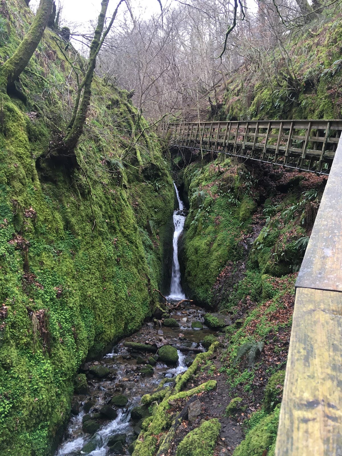 Dollar Glen (National Trust for Scotland) - Image 2
