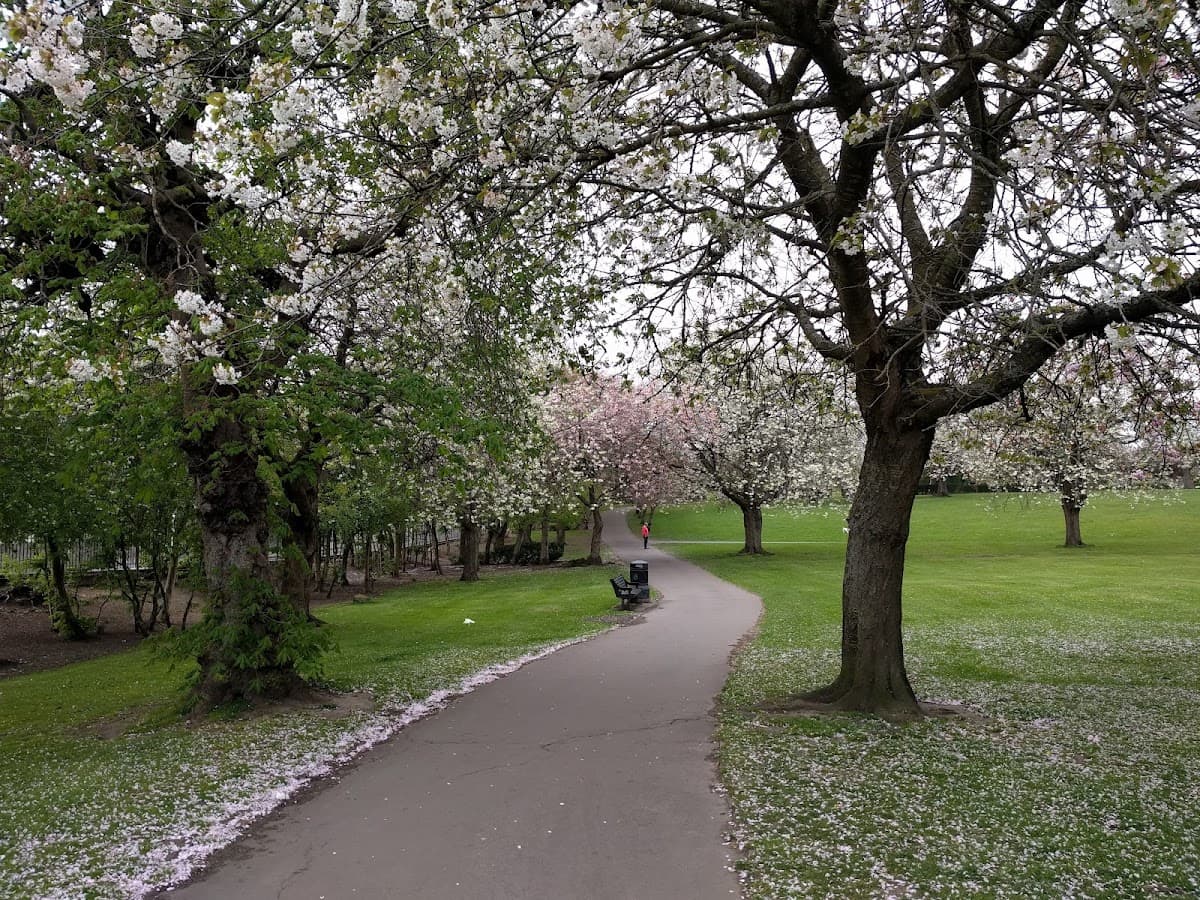 Overtoun Park - Image 3