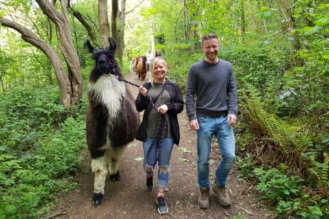 Holly Hagg Community Farm & Alpaca Treks - Image 4