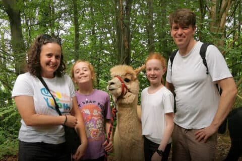 Holly Hagg Community Farm & Alpaca Treks - Image 5