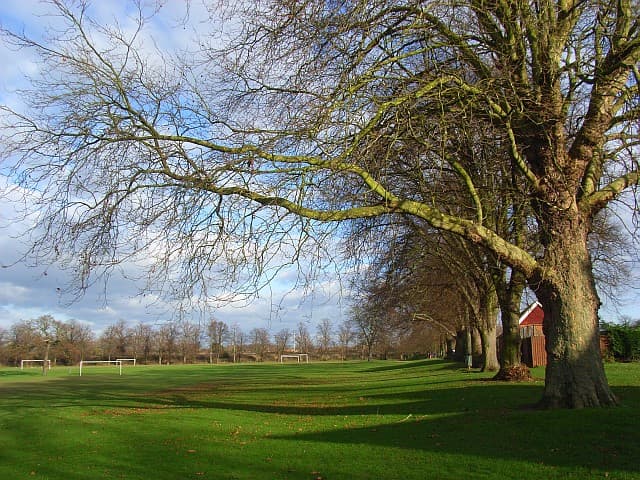 Palmer Park - Image 1