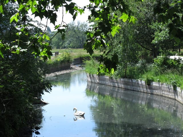 Woodberry Down Park - Image 2