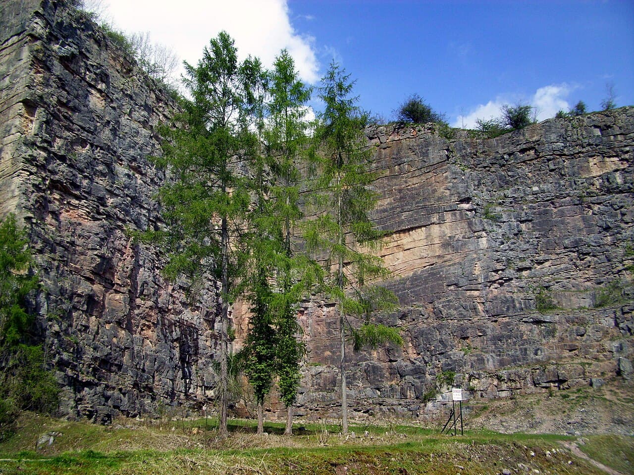 Llanymynech Rocks Nature Reserve (Montgomeryshire) - Main view