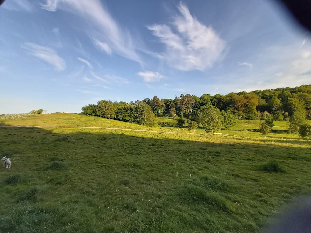 Fernbrae Meadows - Image 1