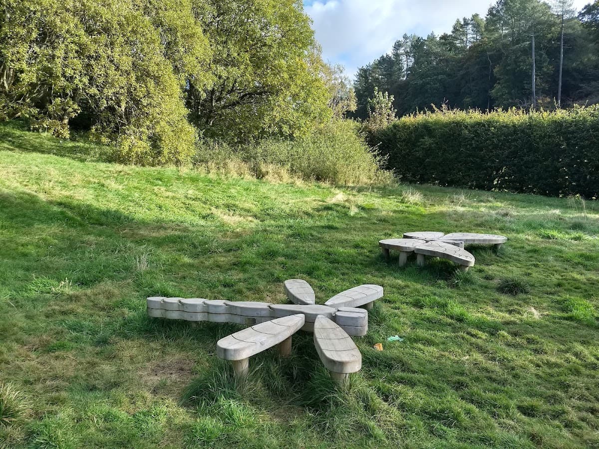 Fernbrae Meadows - Image 2