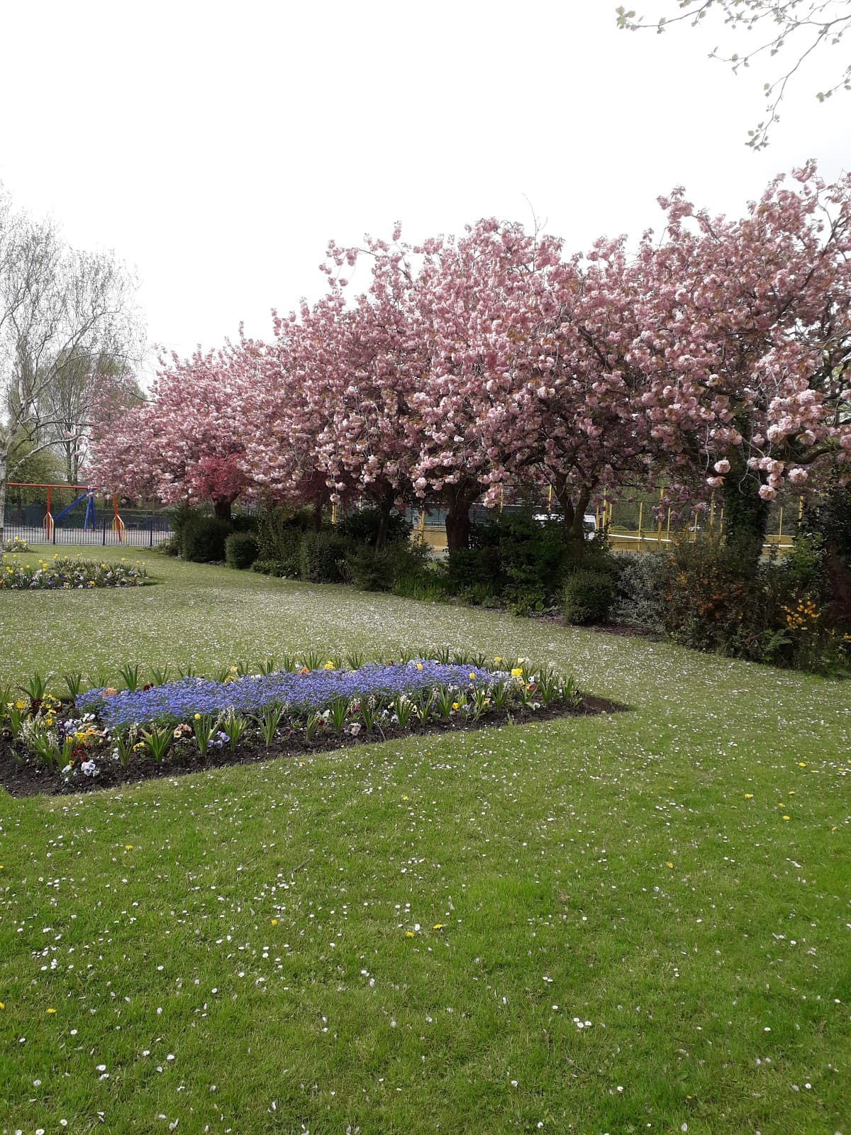 Hough Green Park - Image 2