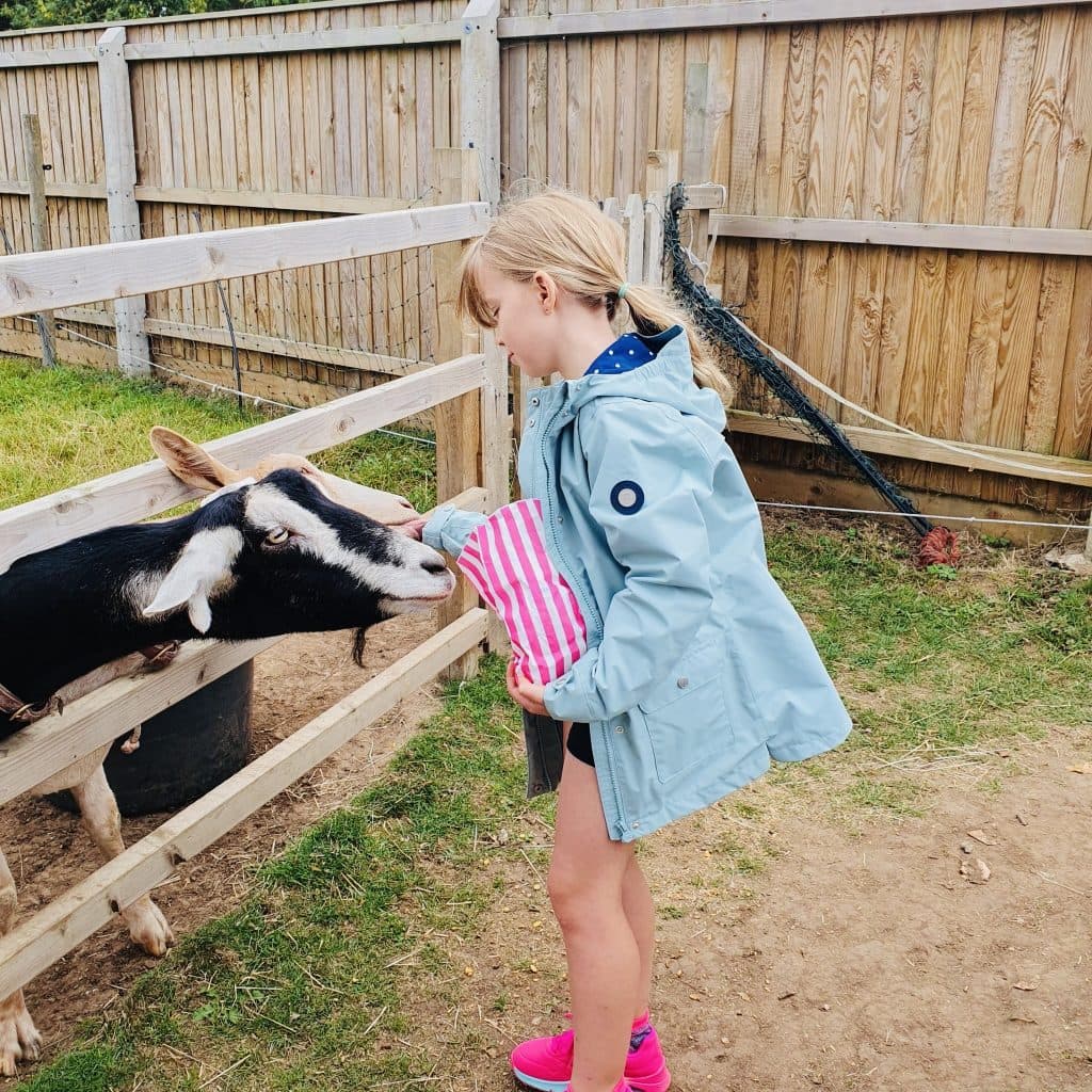 Northcote Heavy Horse Centre - Image 2