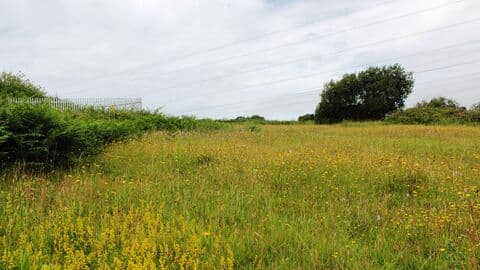 Heysham Nature Reserve - Main view