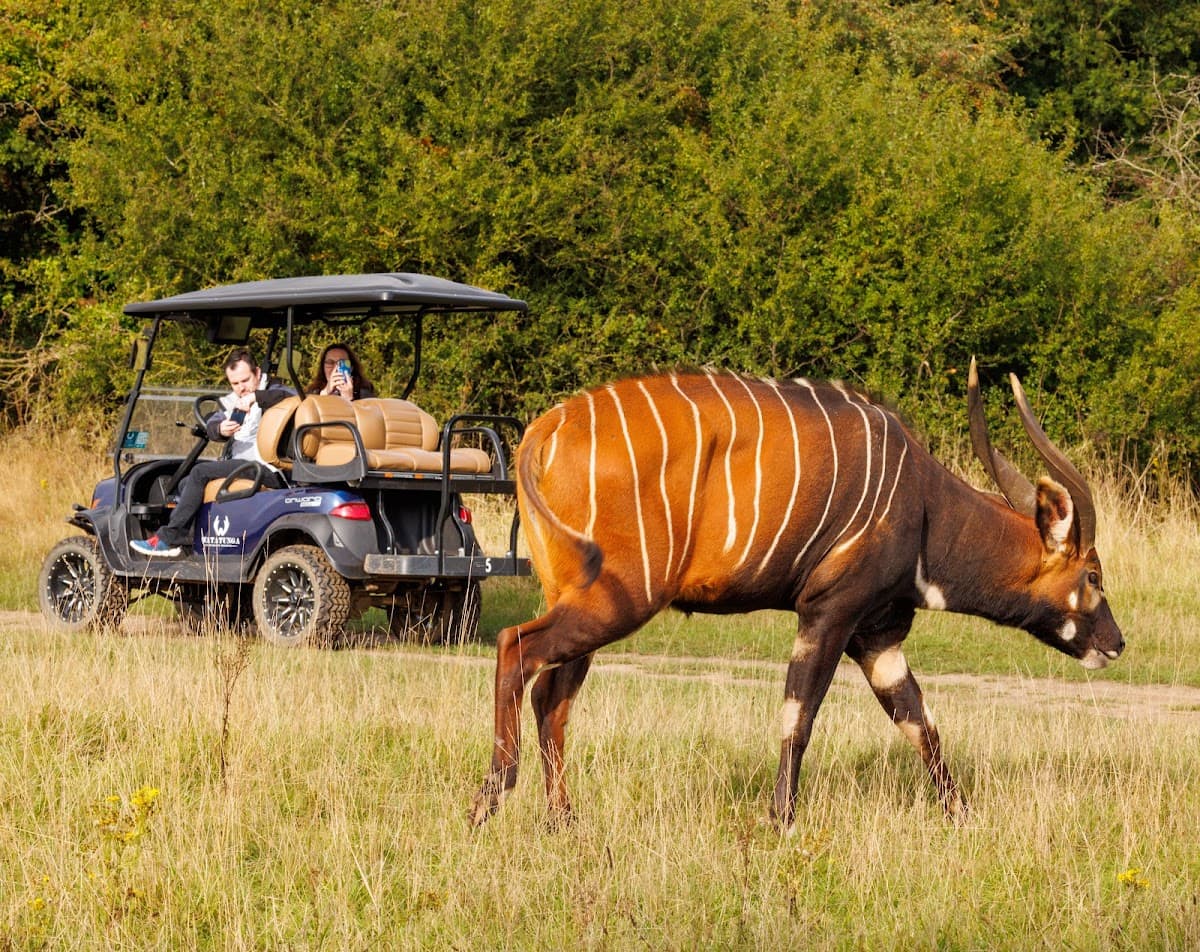 Watatunga Wildlife Reserve - Main view