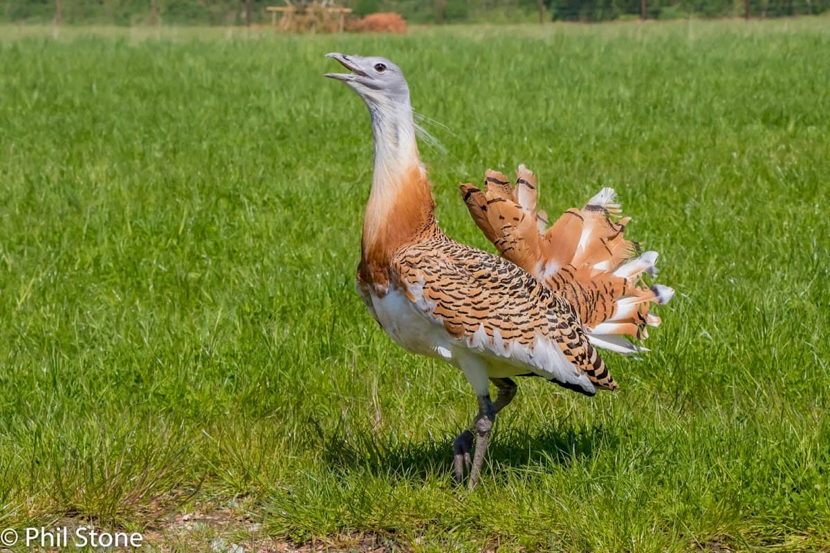 Watatunga Wildlife Reserve - Image 5