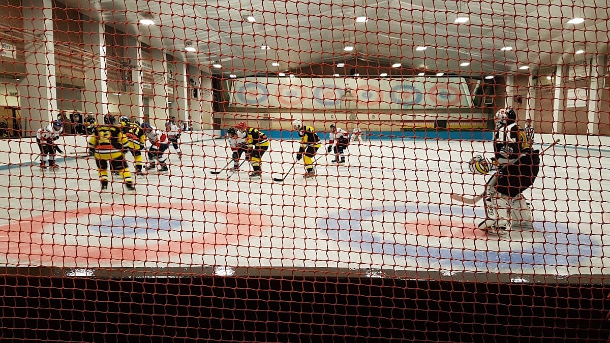 Hamilton Ice Rink - Image 2