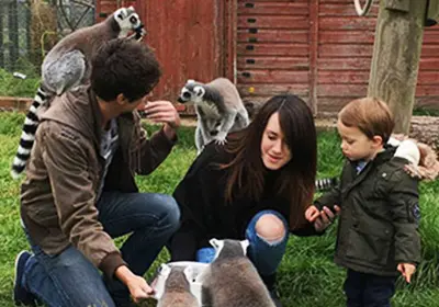Rodbaston Animal Zone - Image 3