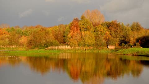 Brandon Marsh Nature Reserve - Main view