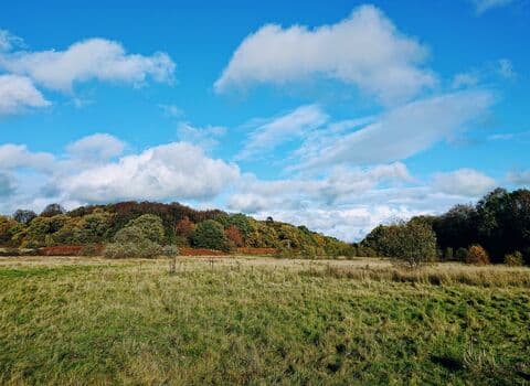 Brandon Marsh Nature Reserve - Image 4