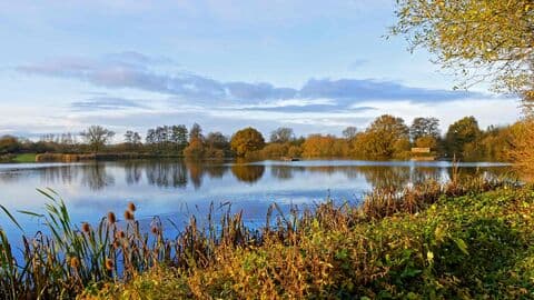 Brandon Marsh Nature Reserve - Image 5