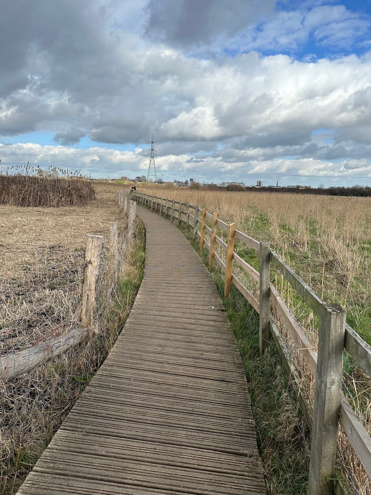 Walthamstow Marshes - Image 1