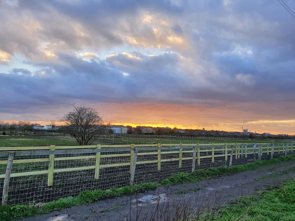 Walthamstow Marshes - Image 2