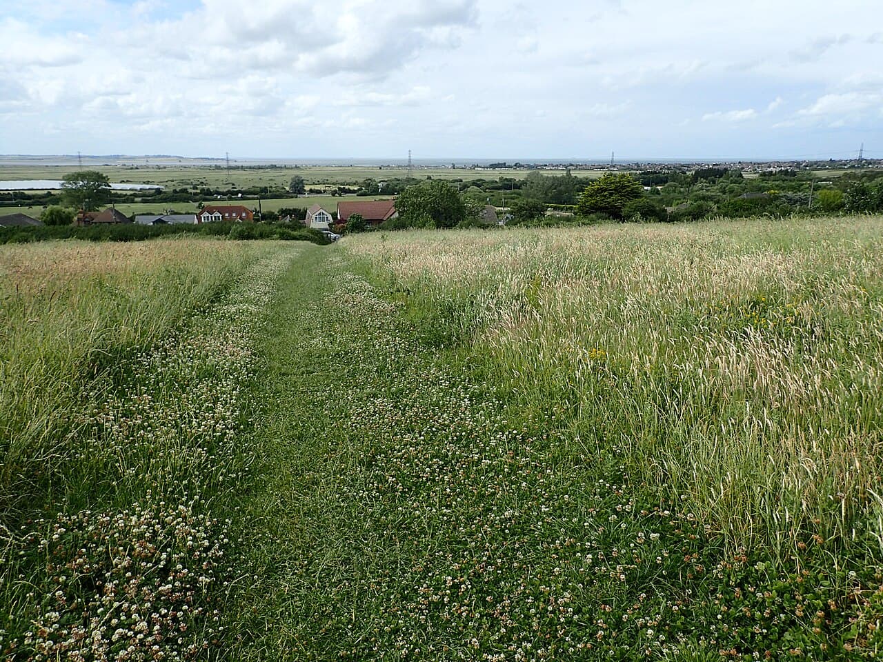 Victory Wood - Woodland Trust - Main view