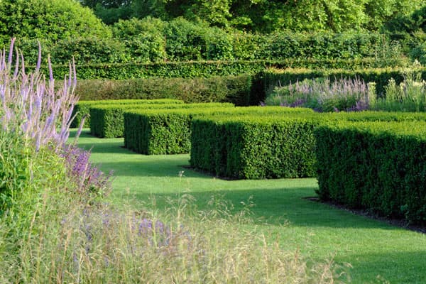 Scampston Hall & Walled Garden - Image 4