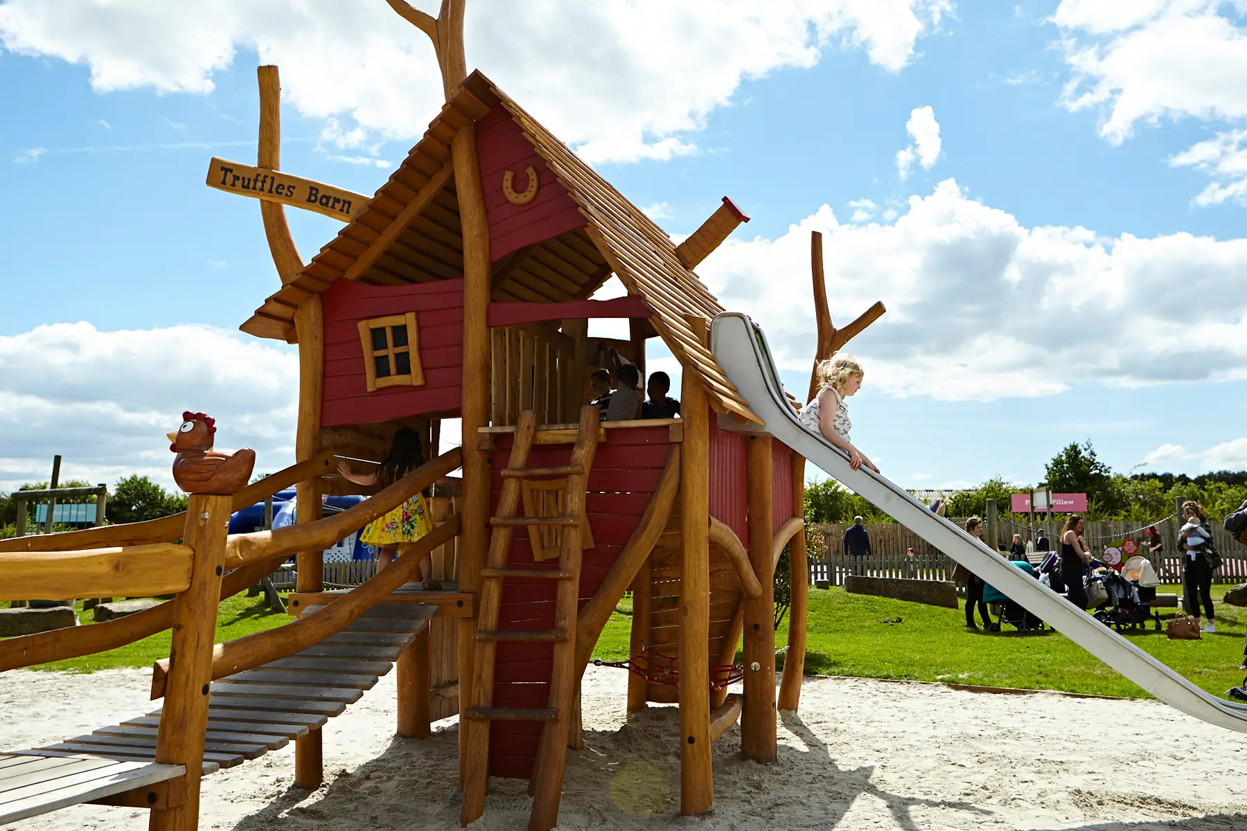 Piglets Adventure Farm - Image 2