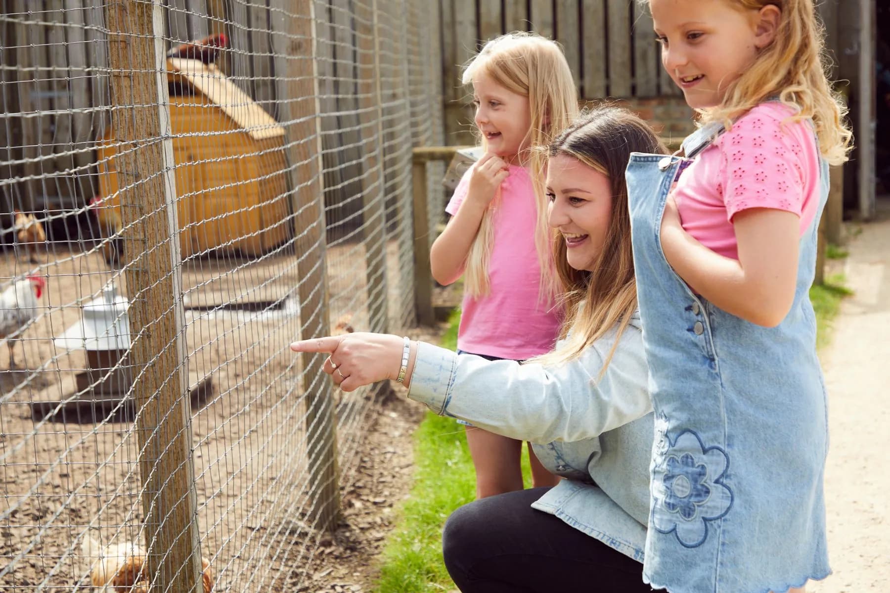 Piglets Adventure Farm - Image 4