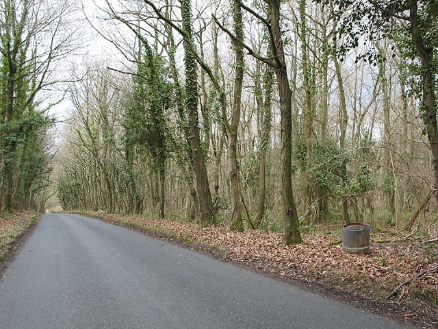 Haugh Wood Butterfly Trail - Image 1