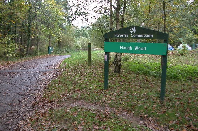 Haugh Wood Butterfly Trail - Image 2