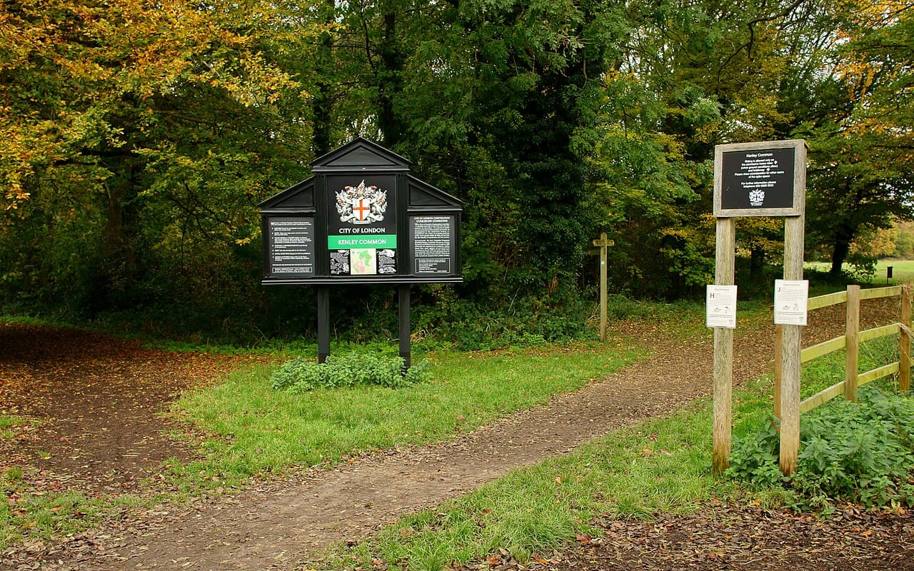 Kenley Common - Main view