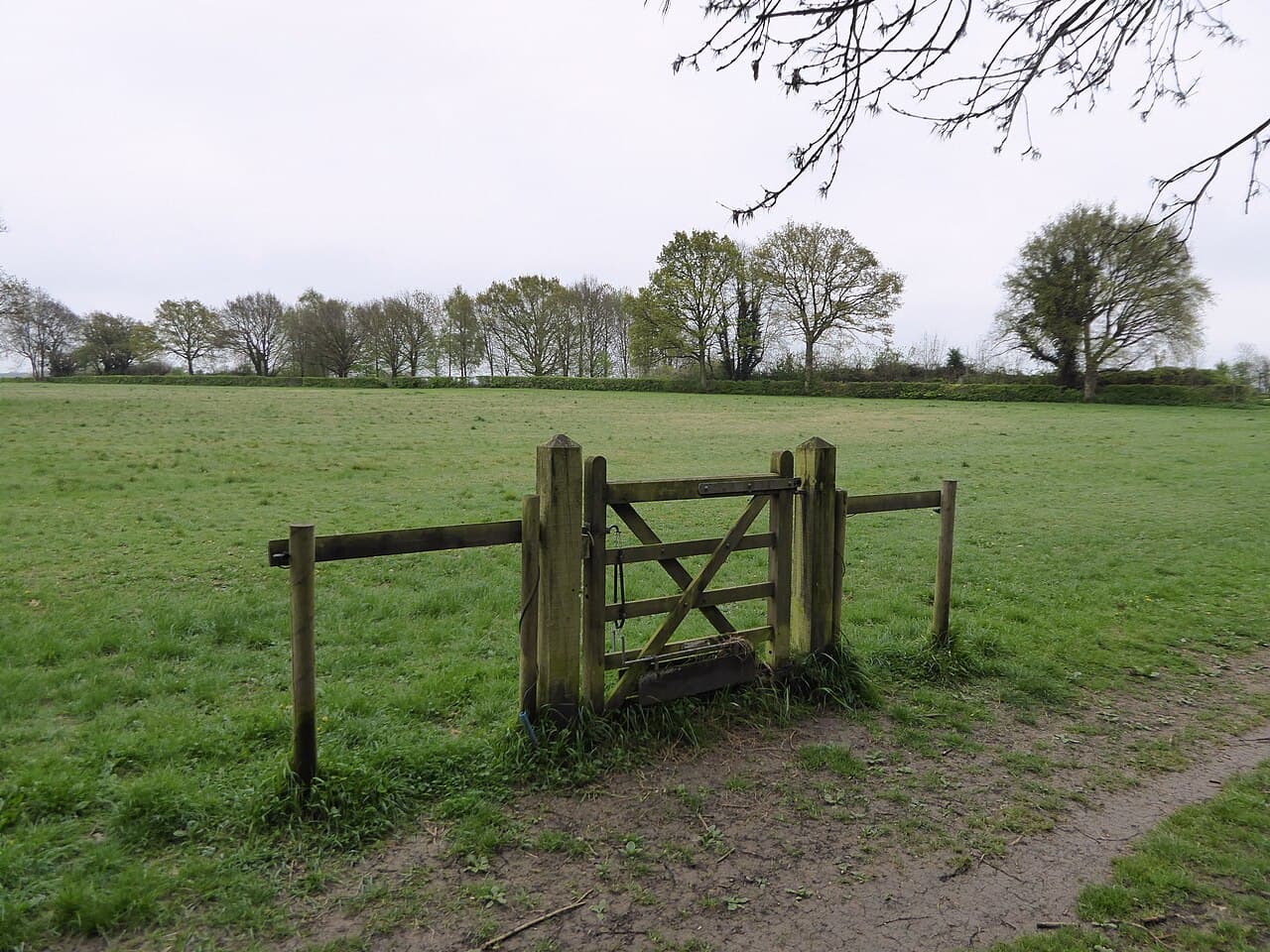 Kenley Common - Image 4