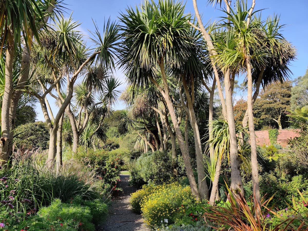 Logan Botanic Garden - Image 2