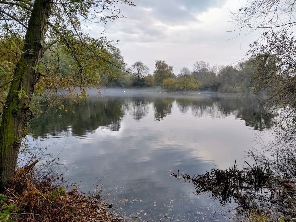 Emberton Country Park - Image 2