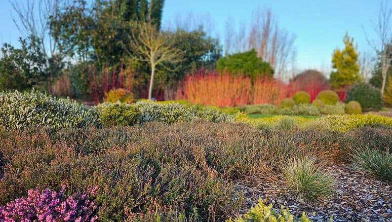 Holme for Gardens - Image 1