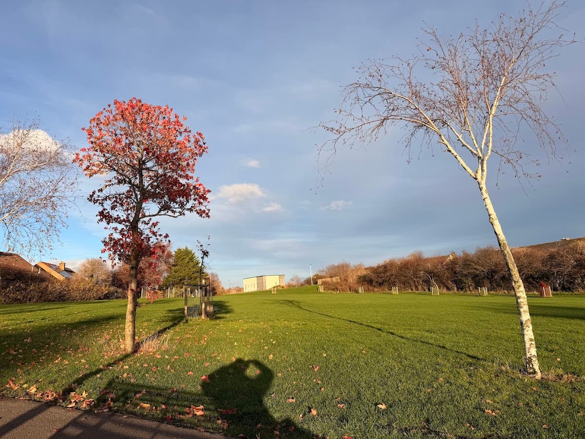 Easter Drylaw Park - Image 3