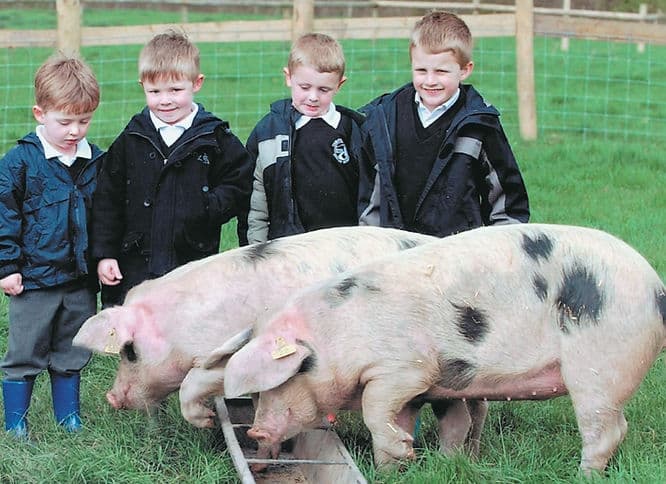 St Augustines Farm - Main view