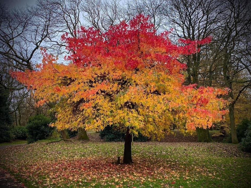 Ightenhill Park - Image 2