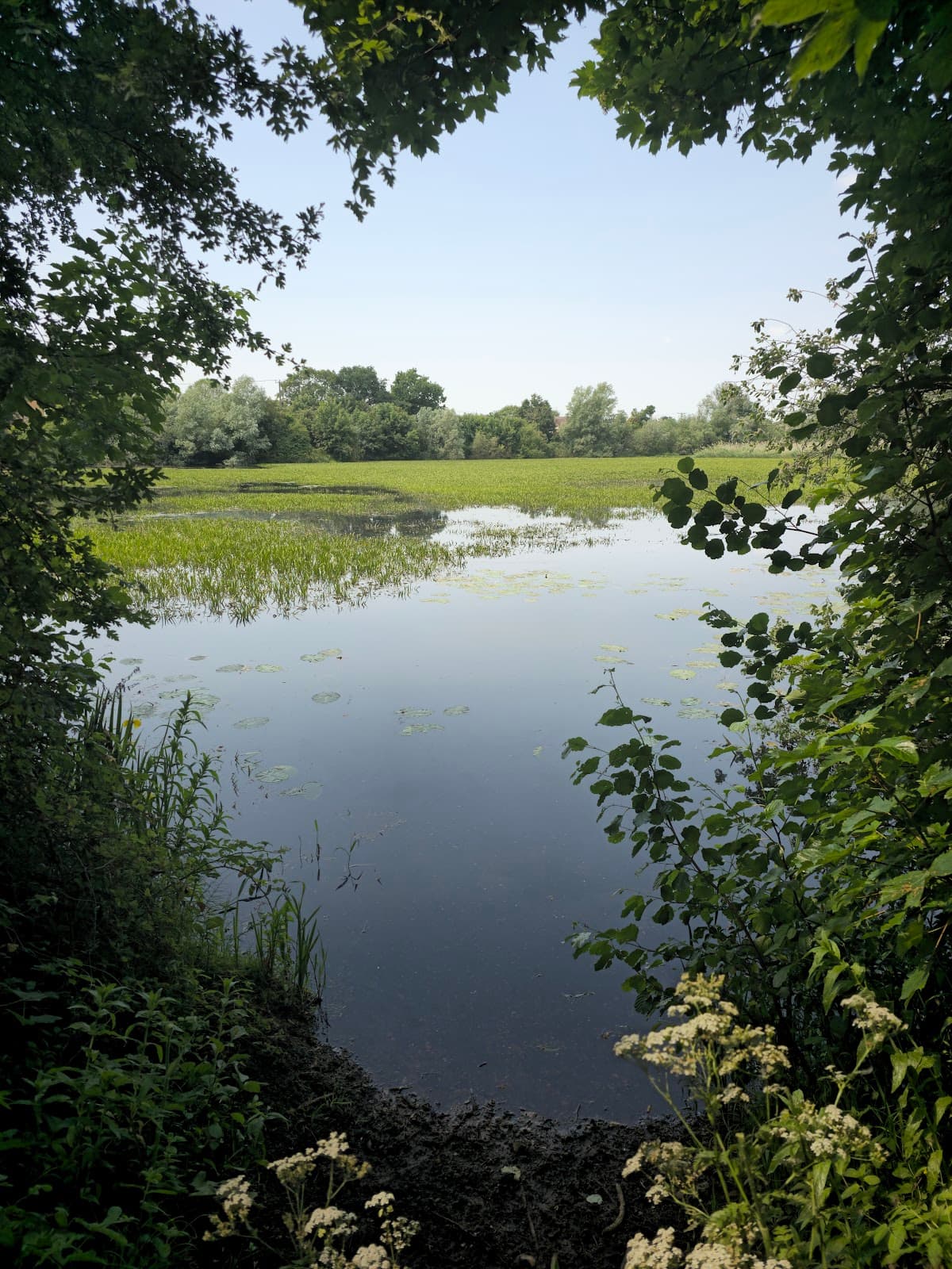 Paxton Pits Nature Reserve - Image 2