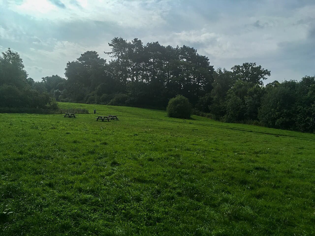 Biddulph Grange Country Park - Image 4