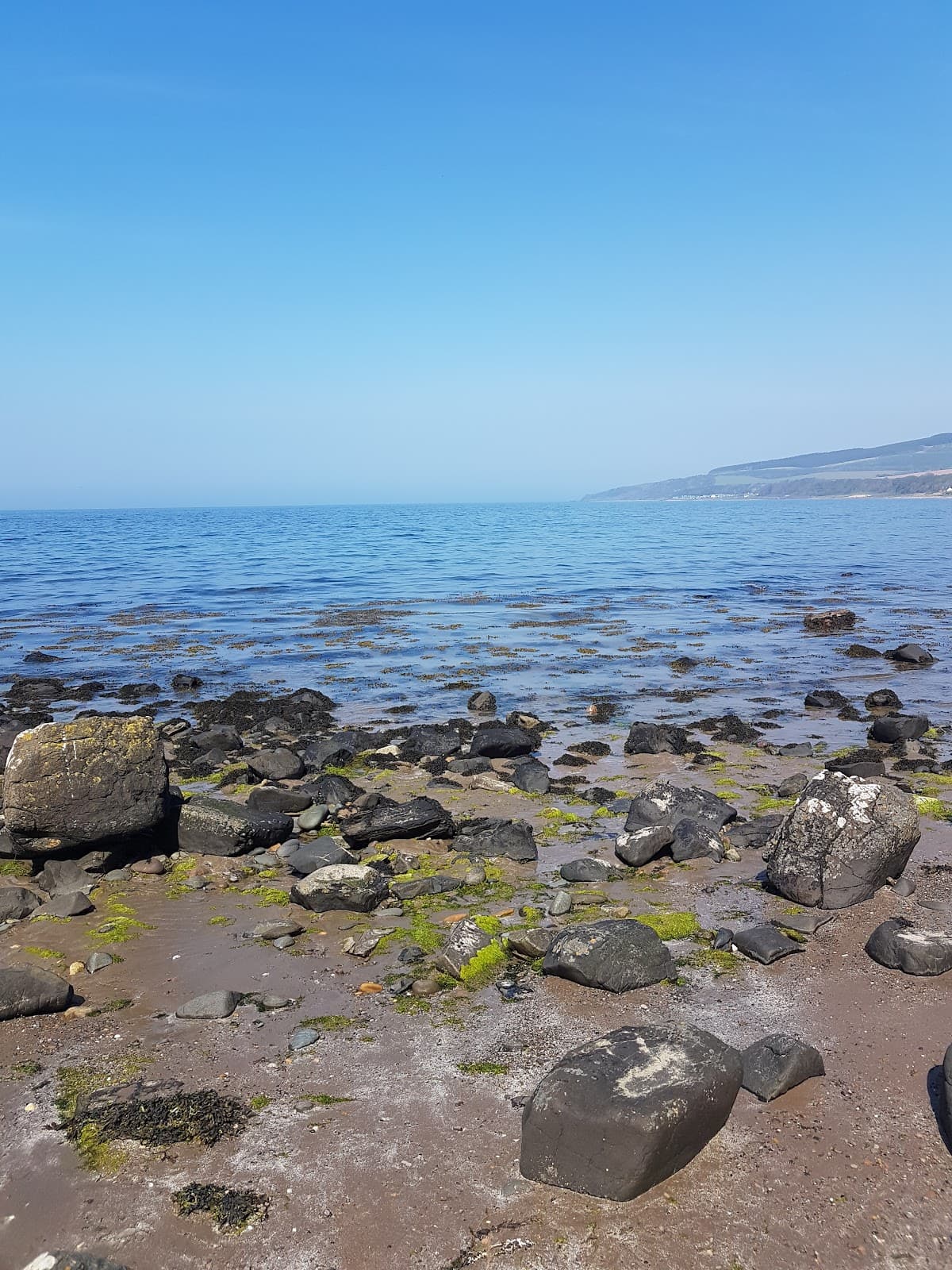 Maybole Shore - Image 3