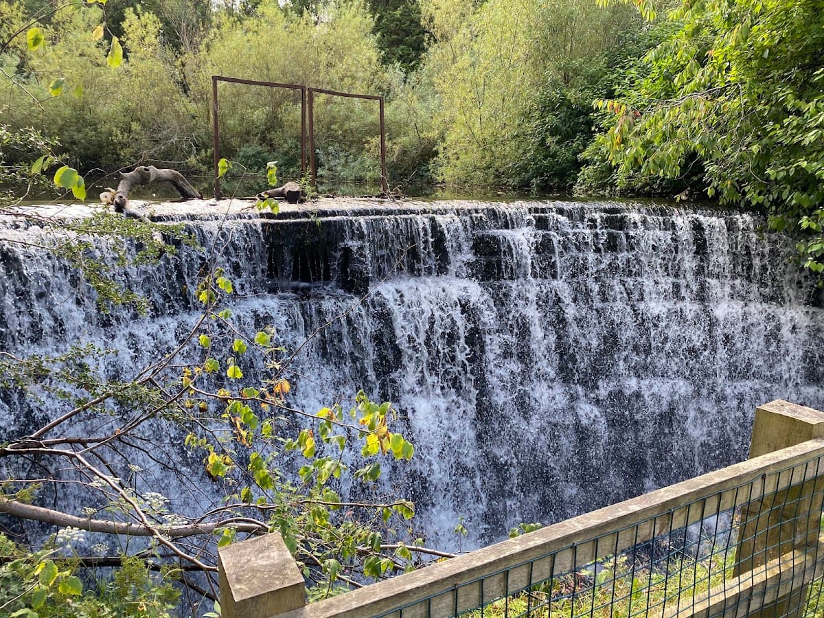 Rouken Glen Park - Image 2
