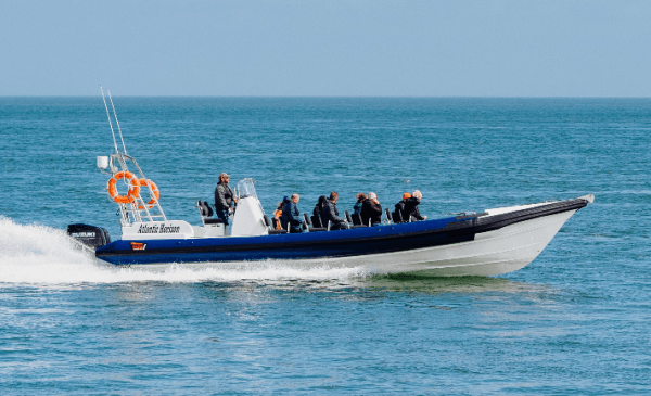 Tenby Boat Trips - Image 1
