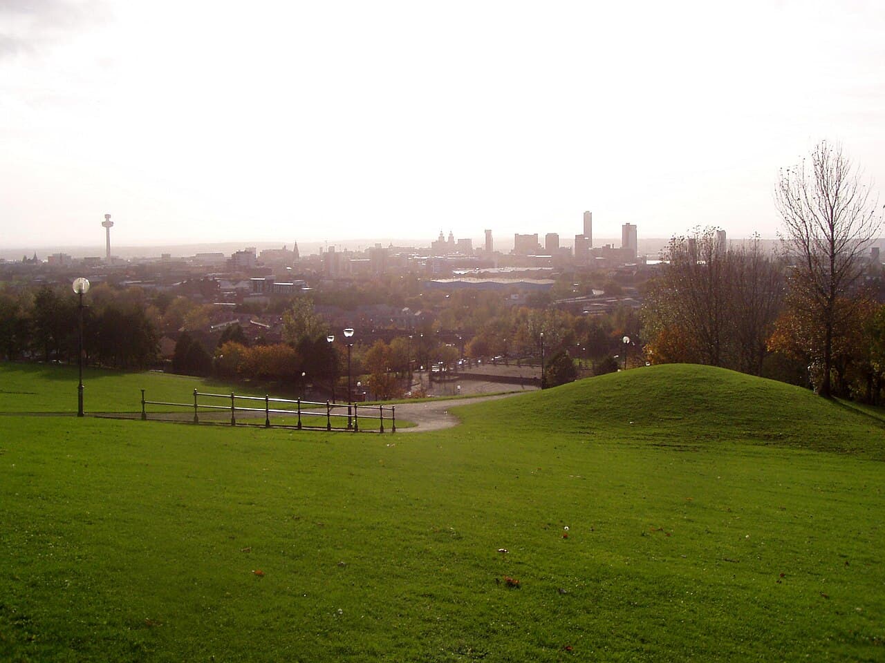 Everton Park - Main view