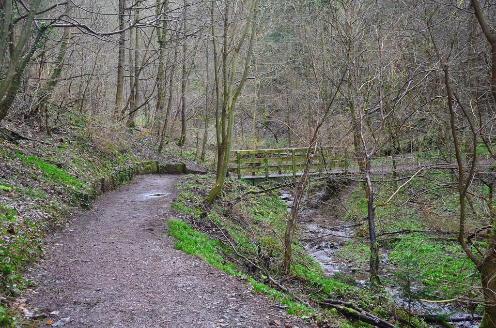 Castlebank Park - Image 2