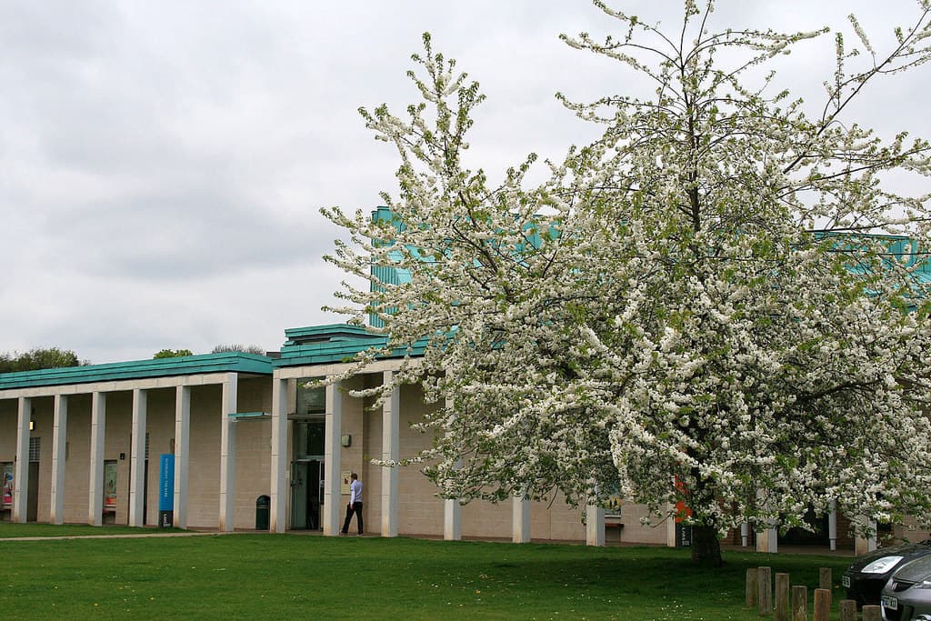 Lakeside Arts - theatre, gallery & Pavilion Café - Main view