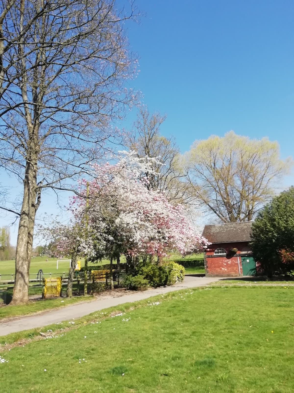 Bucknall Park - Image 1