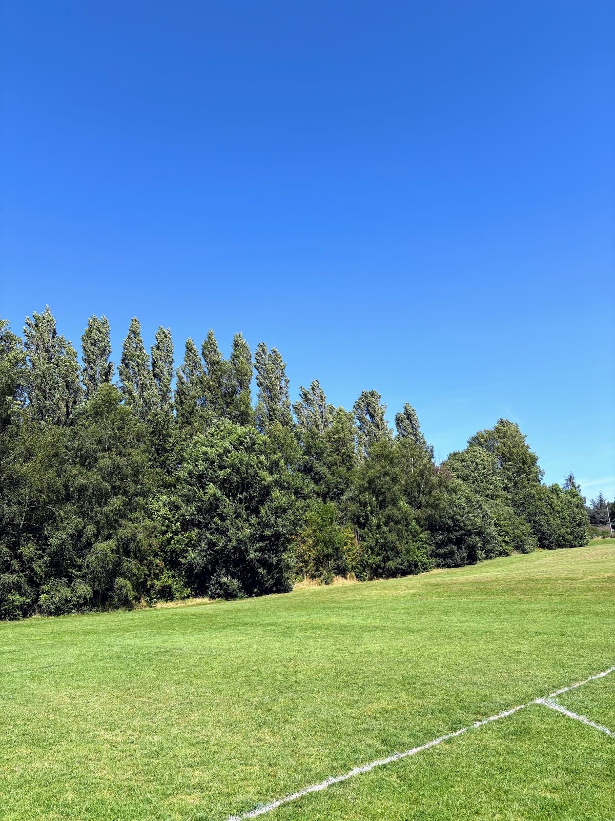 Bucknall Park - Image 2