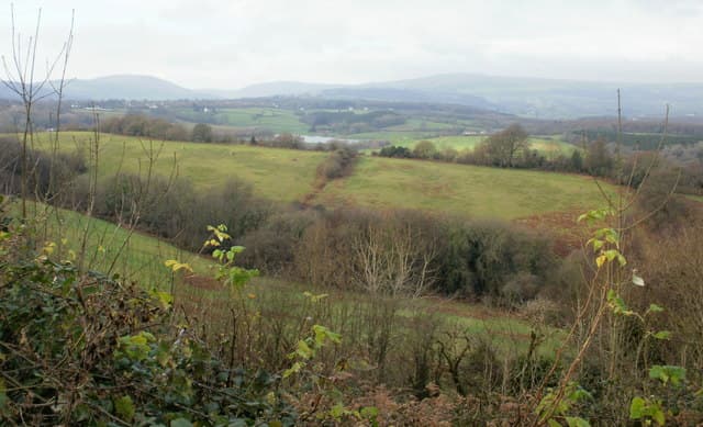 Allt-Yr-Yn Nature Reserve - Main view