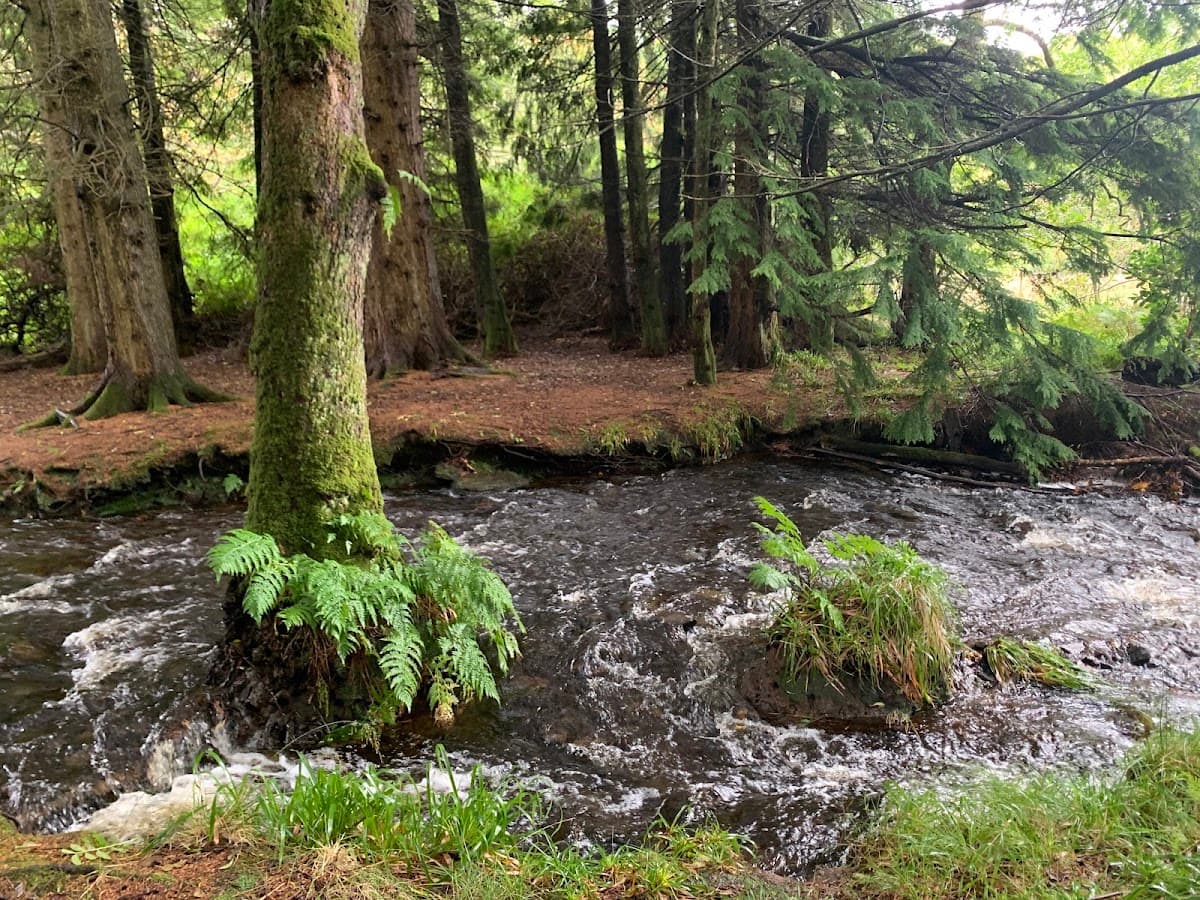 Larachmhor Gardens - Image 3