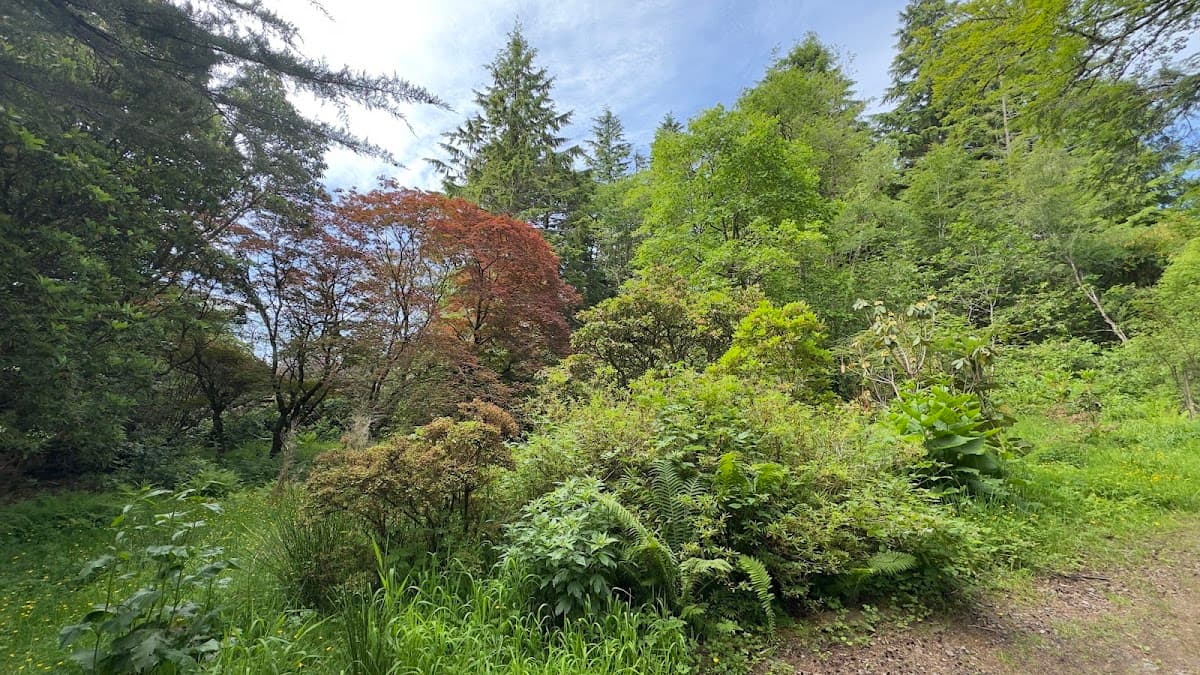 Larachmhor Gardens - Image 4